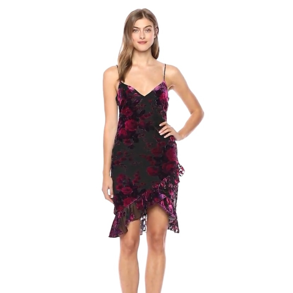 NWT! LIKELY • Shana Velvet Burnout Ruffle Dress